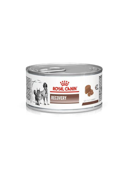 ROYAL CANIN LATA RECOVERY X 165 G
